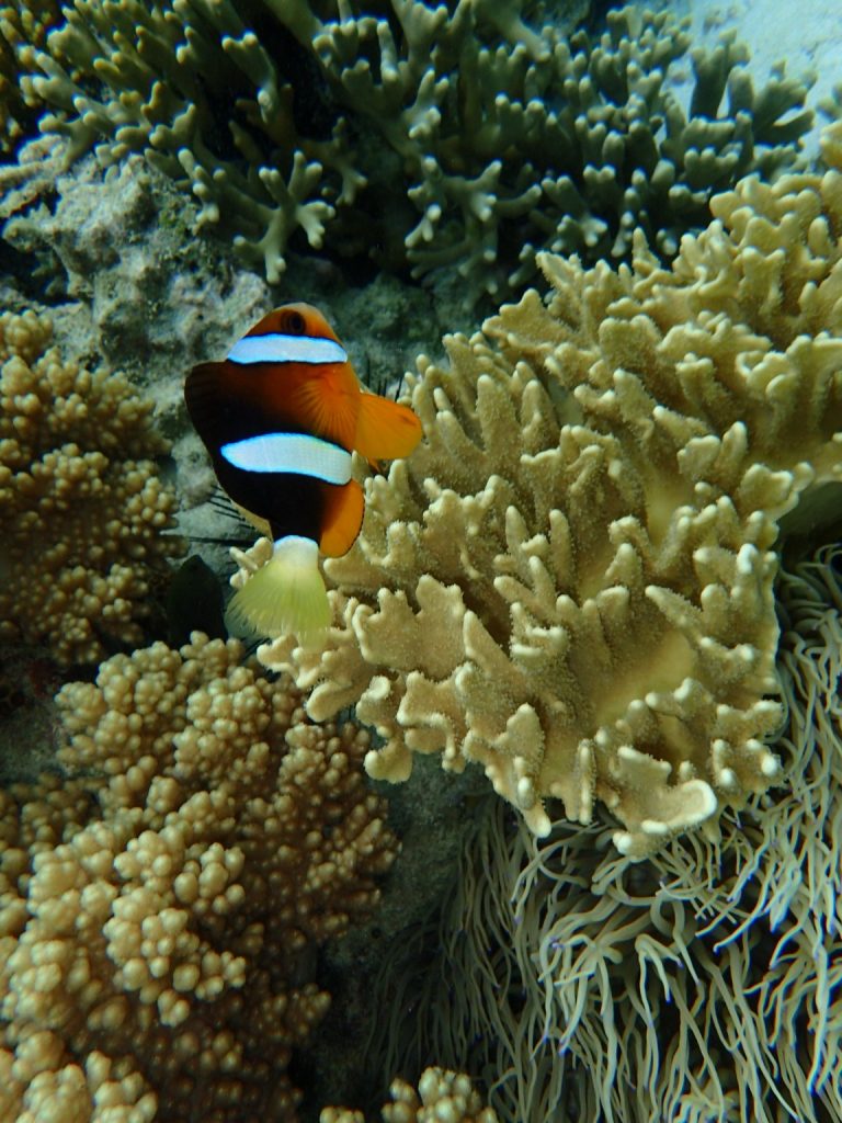 P7300074