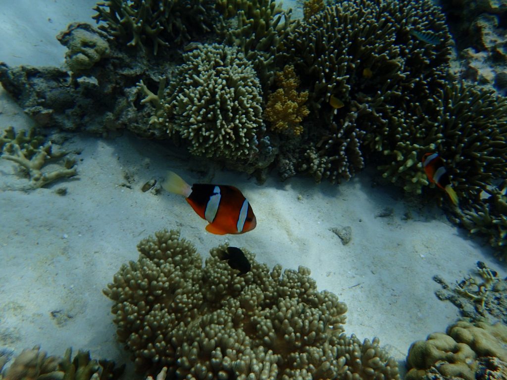 P7300090